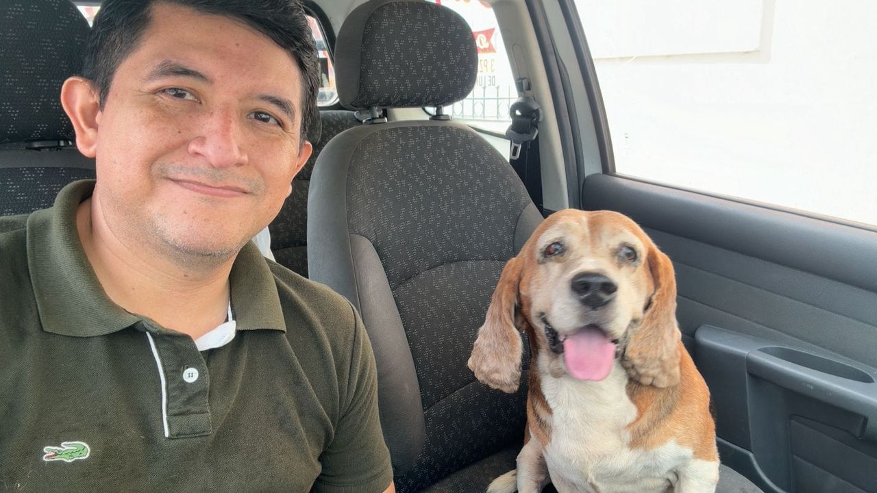 Servicio a la Comunidad: perrito rescatado