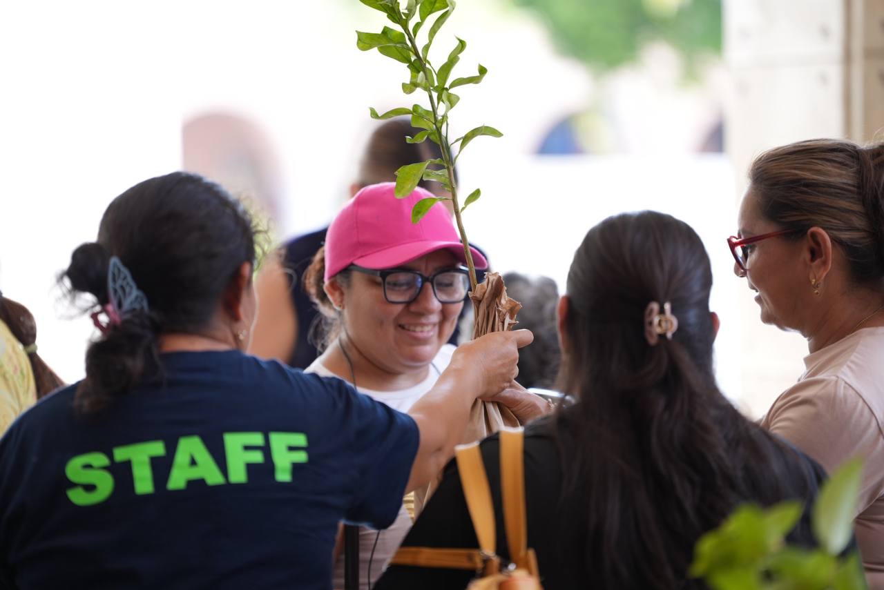 El programa “Una familia, un árbol” avanza con éxito: Cecilia Patrón