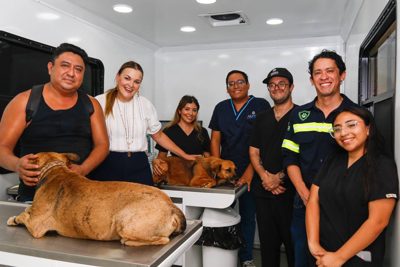 Mérida tendrá jornada de 600 esterilizaciones  caninas y felinas GRATUITAS