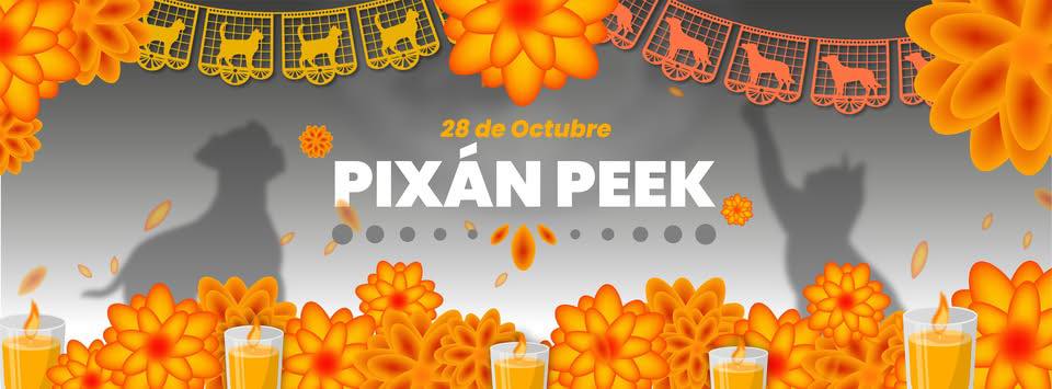 Cecilia Patrón celebra el amor y la memoria de los animales de compañía en el Pixán Peek 2025