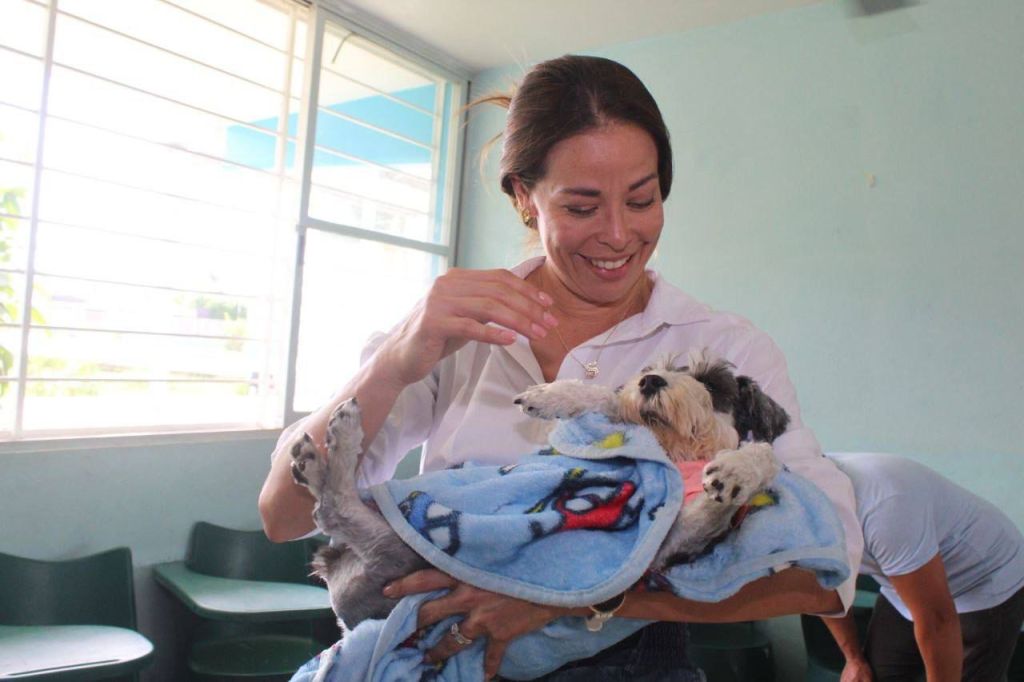 Sayda Rodríguez presenta en el Congreso la nueva Ley para el Bienestar y Protección Animal del Estado de&nbsp;Yucatán