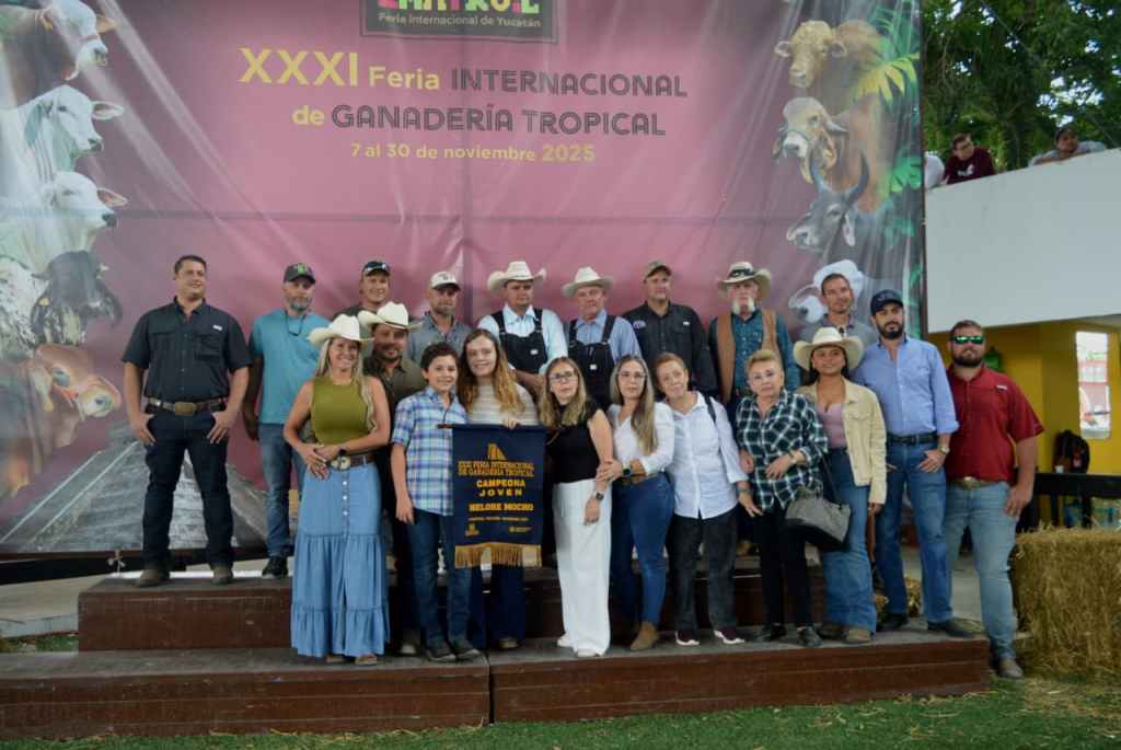 Competencia de ejemplares bovinos de la raza Nelore en la 31ª Feria Internacional de Ganadería Tropical Xmatkuil&nbsp;2025