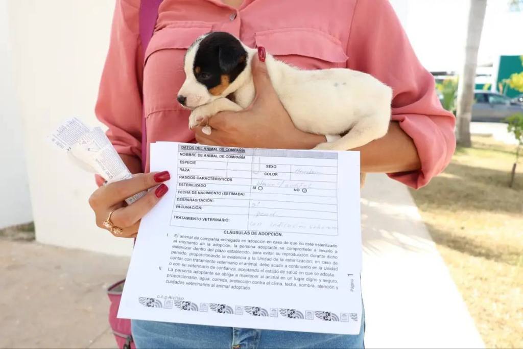 Erik Rihani invita a las familias a sumarse a “Huellitas con&nbsp;hogar”