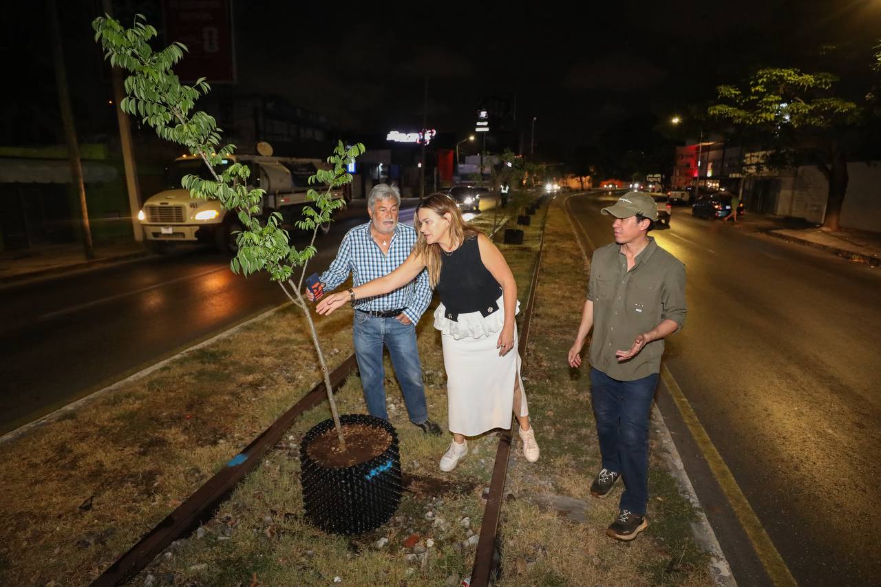 Mérida apuesta por un futuro resiliente: inicia transformación forestal para mitigar el impacto climático