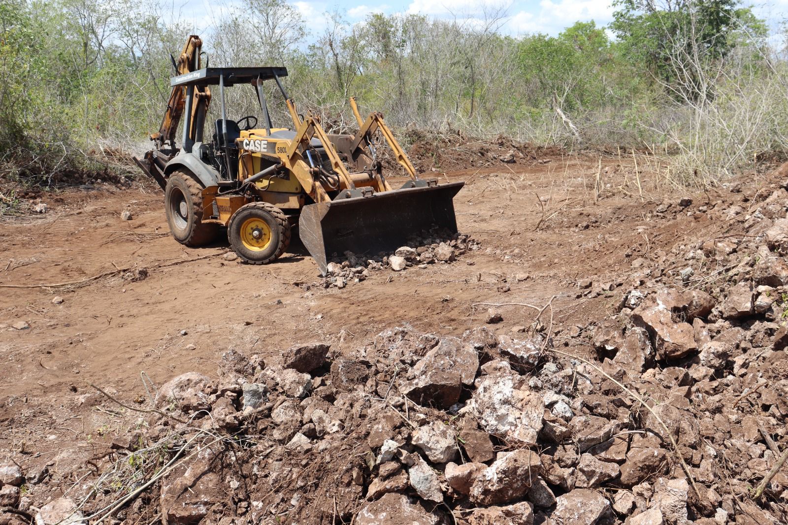 Clausuran predio por desmonte ilegal en la Reserva Cuxtal