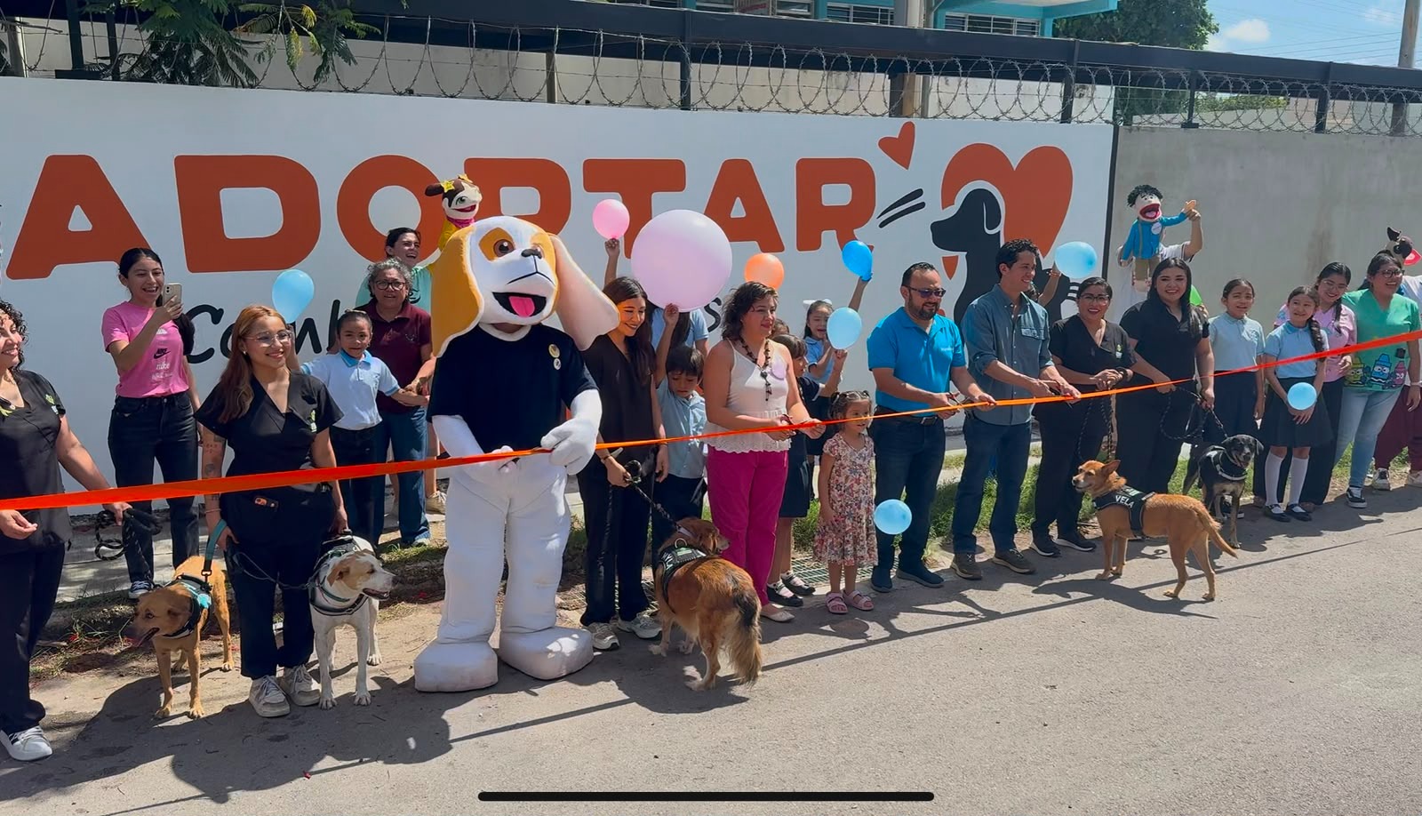 Inauguran la primera “Barda de la Empatía” en Mérida: una alianza por el cuidado animal y comunitario