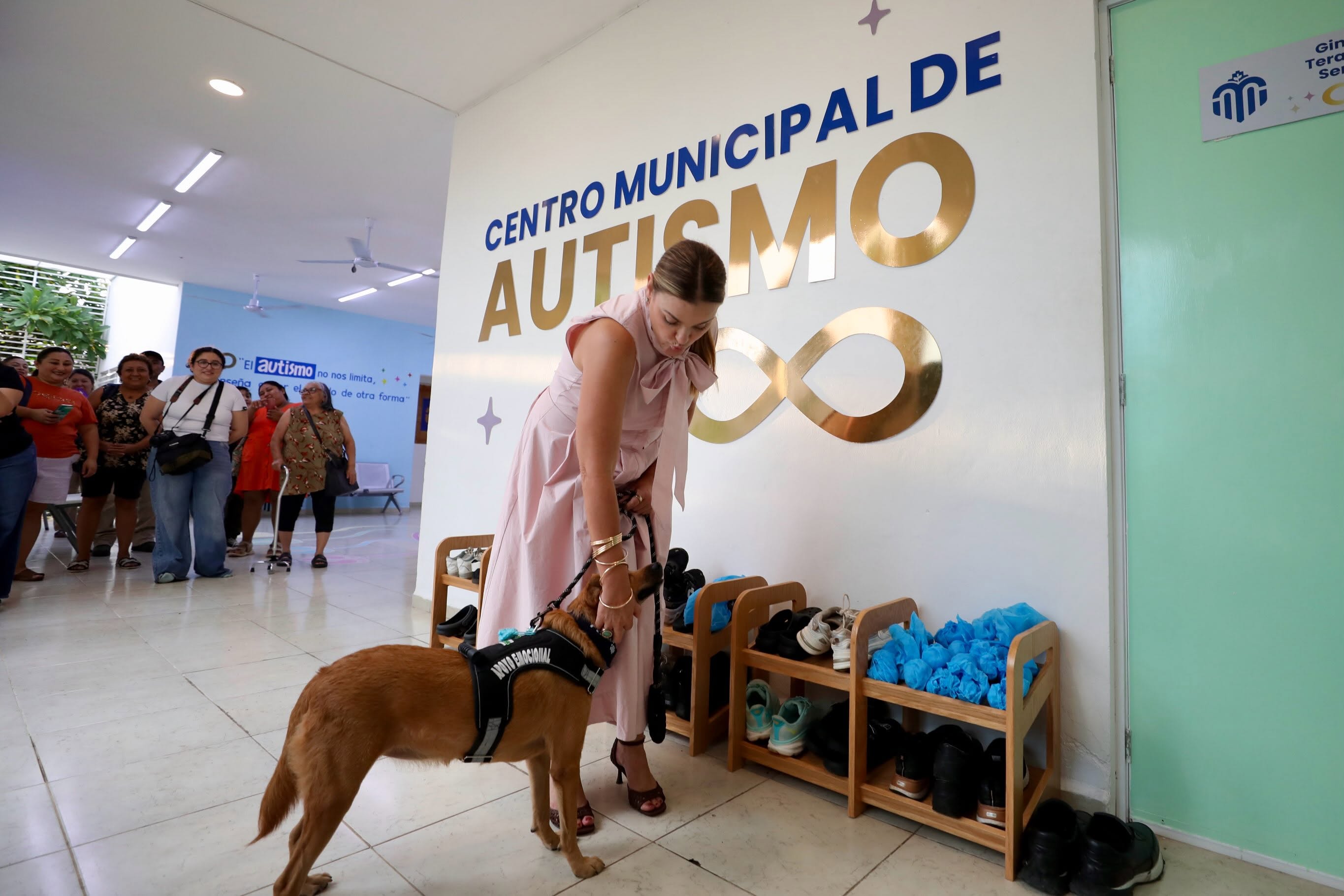Esperanza que ladra y abraza: «De la Calle al Corazón» transforma la vida de niñas y niños con autismo en Mérida