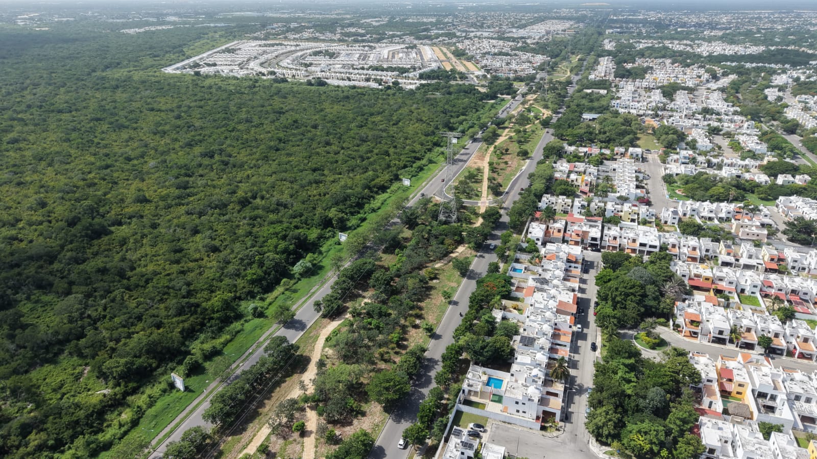 Mérida Respira Verde: Nace su Primer Oasis Urbano